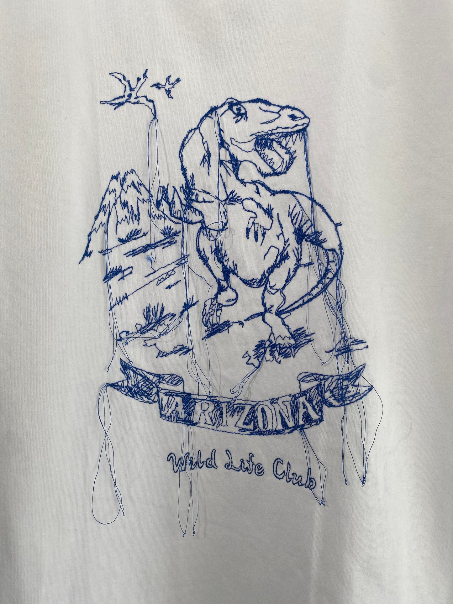 fluss / Dino T