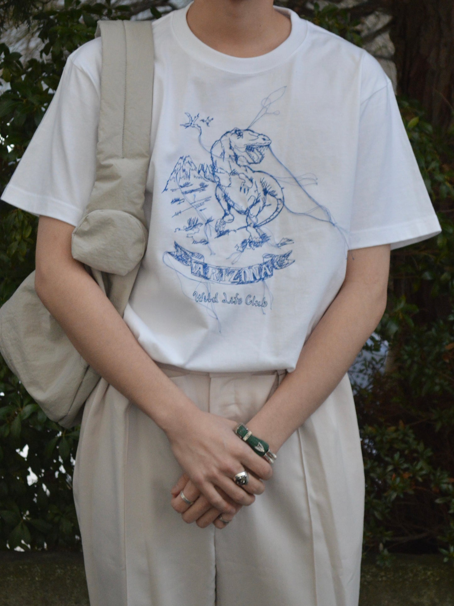 fluss / Dino T