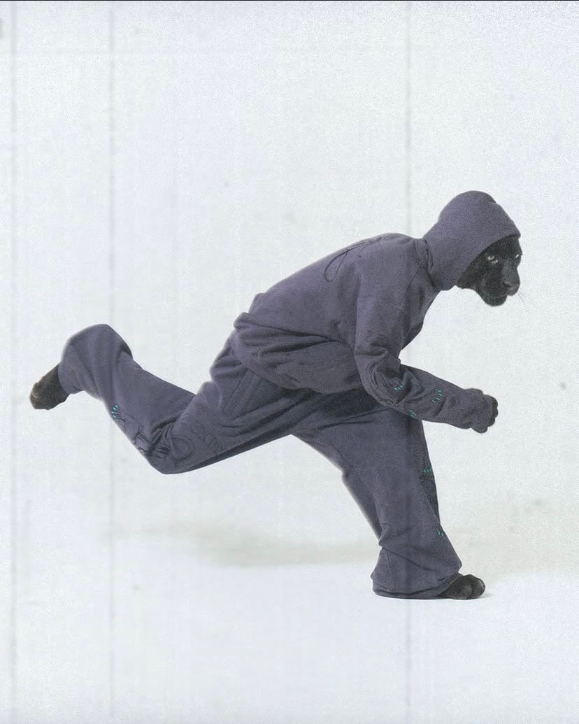 side.service GEKI JAGUAR ZIP-UP (PURPLE)