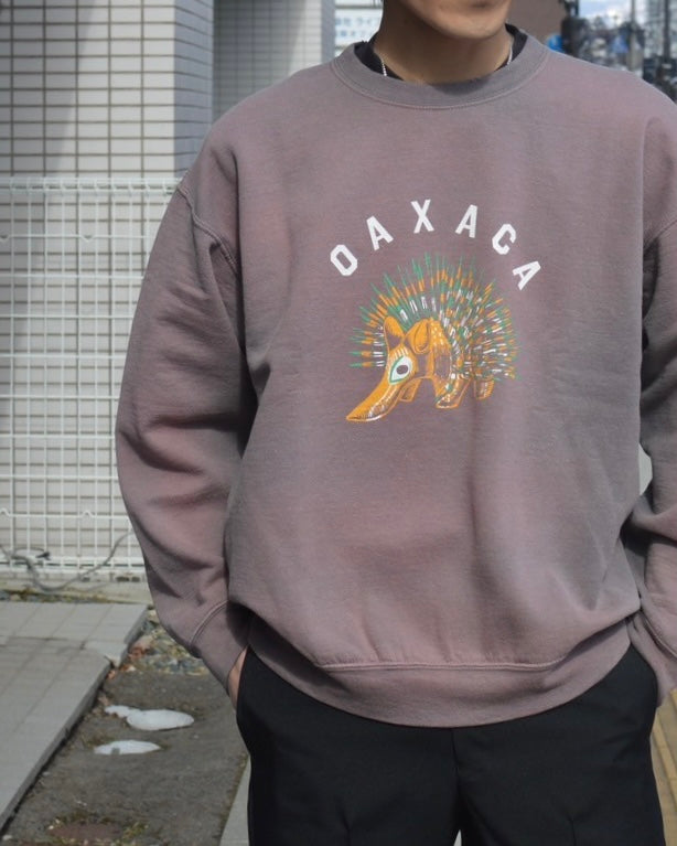 Sasquatchfabrix. SWEATSHIRT “OAXACA PORCUPINE”