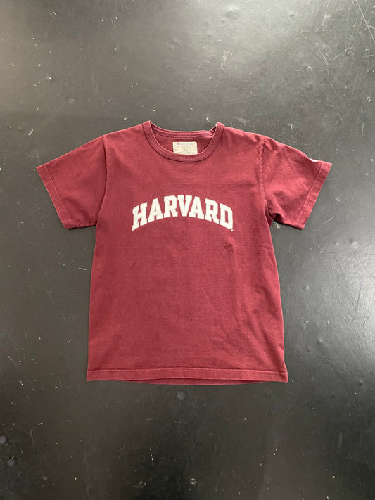 champion HARVARD TEE